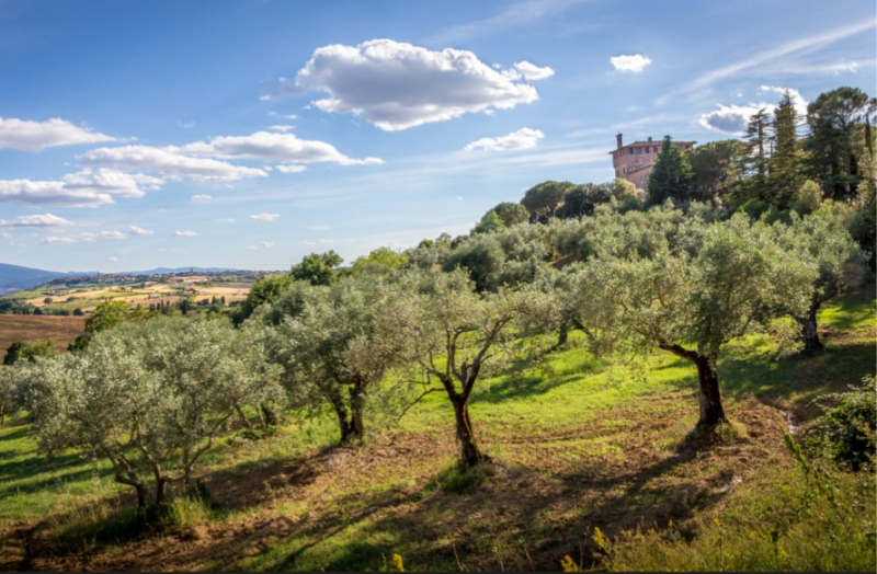 Scopri questa straordinaria villa contemporanea in vendita nel tranquillo comune di Sarmede, situ...