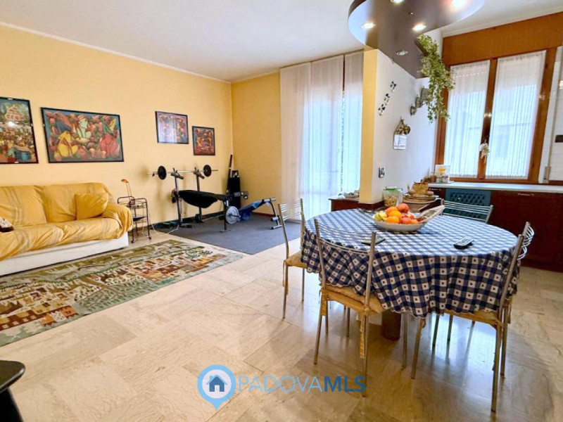 Immobile in esclusiva al Gruppo Padova MLS

ARCELLA SAN CARLO
APPARTAMENTO CHE PUO' ESSERE ABITAT...