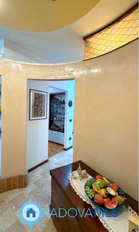 Immobile in esclusiva al Gruppo Padova MLS

ARCELLA SAN CARLO
APPARTAMENTO CHE PUO' ESSERE ABITAT...