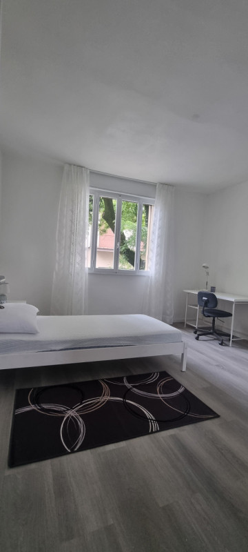 Sei uno studente/essa alla ricerca di un ambiente accogliente e funzionale? In una piccola palazz...