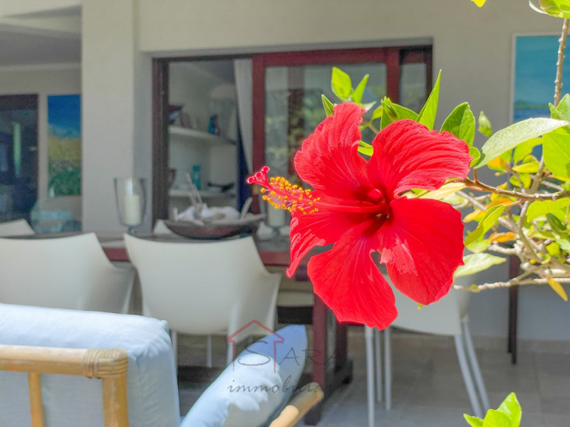 AGLIENTU (SS) Portobello:

Sara Immobiliare propone in locazione villa di 400 mq con terrazze/sol...