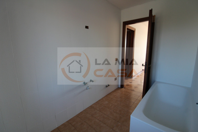 Proponiamo in vendita, nel cuore del comune di Codevigo, una rara opportunità: casa singola terra...