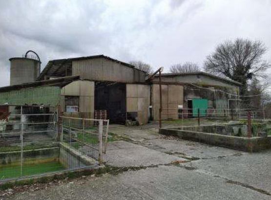 RIF. A.A.346-221
                                                              
Vendita all'asta ...