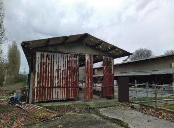 RIF. A.A.346-221
                                                              
Vendita all'asta ...