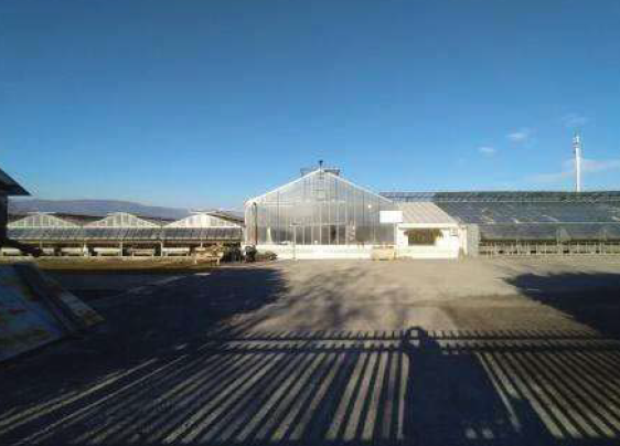 RIF. A.A.346-221
                                                              
Vendita all'asta ...