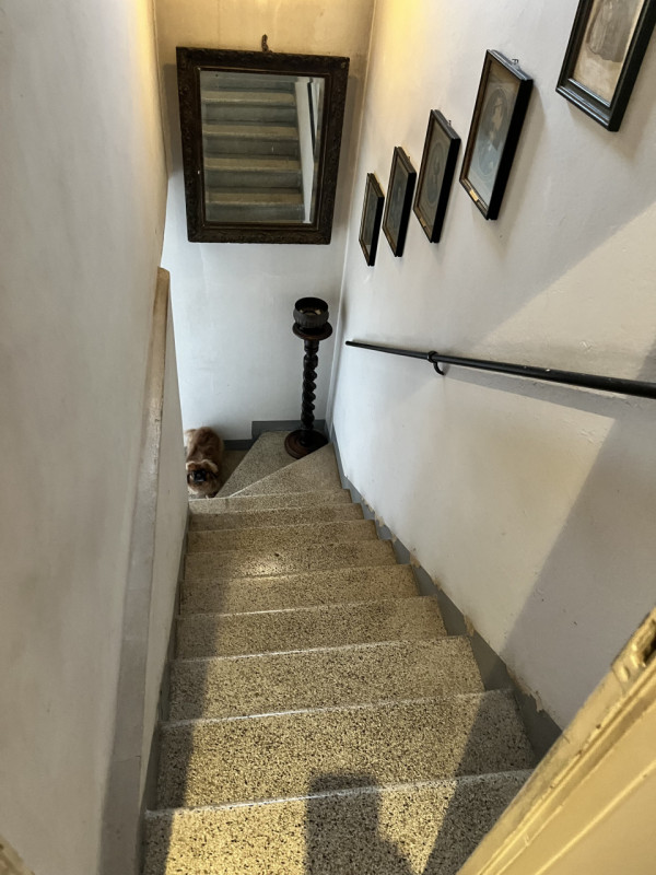 Scopri questa affascinante casa singola terratetto situata nel quartiere San Gregorio a Padova. C...