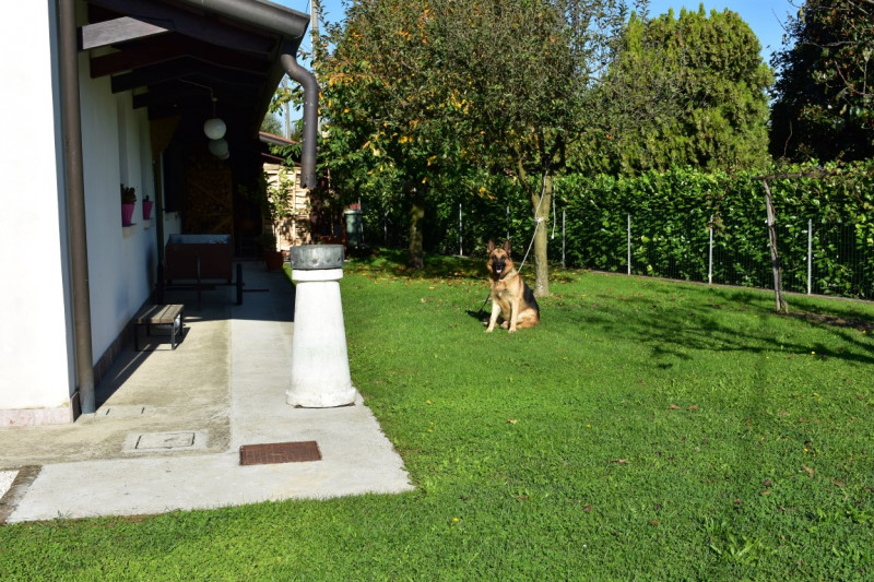 MASERÀ DI PADOVA (vicinanze): Proponiamo in vendita in esclusiva una splendida villa accostata ma...