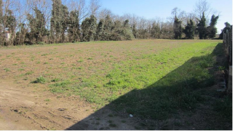 Rif. A.A. 6-252

Vendita all'asta - terreno agricolo in data 20 febbraio 2026

Descrizione: tratt...