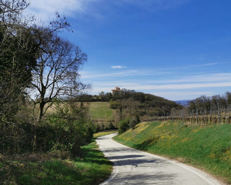 In splendida posizione collinare e panoramica sui Colli Berici, perfettamente esposta al sole, pr...