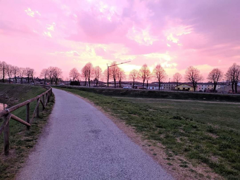 In splendida posizione collinare e panoramica sui Colli Berici, perfettamente esposta al sole, pr...