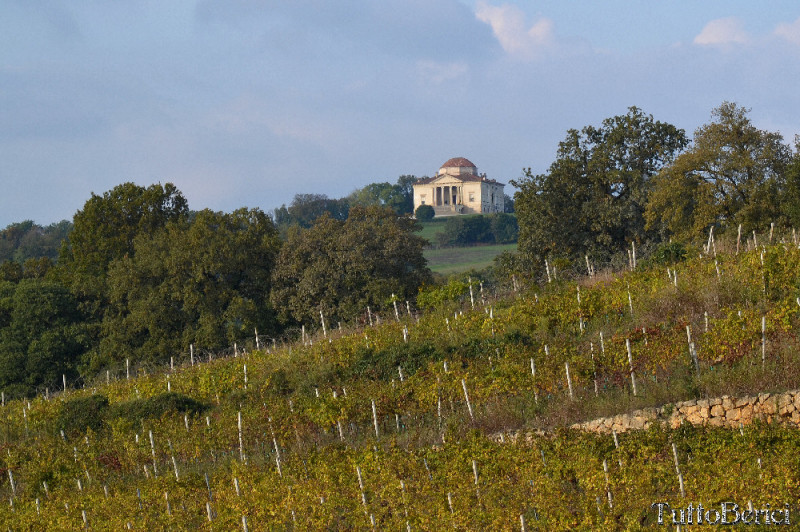 In splendida posizione collinare e panoramica sui Colli Berici, perfettamente esposta al sole, pr...