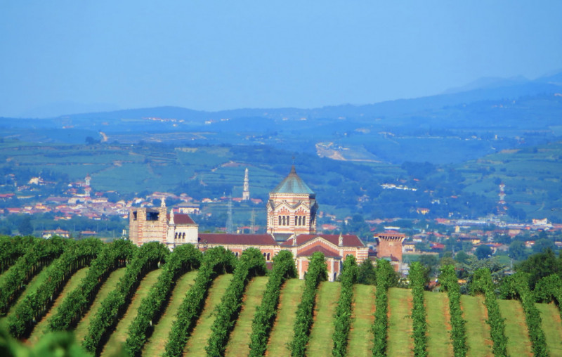 In splendida posizione collinare e panoramica sui Colli Berici, perfettamente esposta al sole, pr...