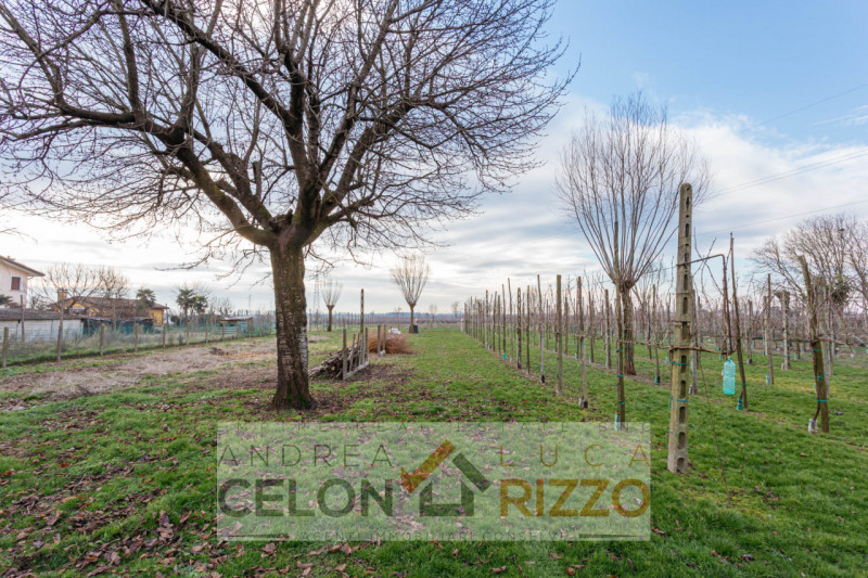 Immersa nel verde ma comoda a tutti i servizi, questa villa singola ad Agna accoglie con un viale...