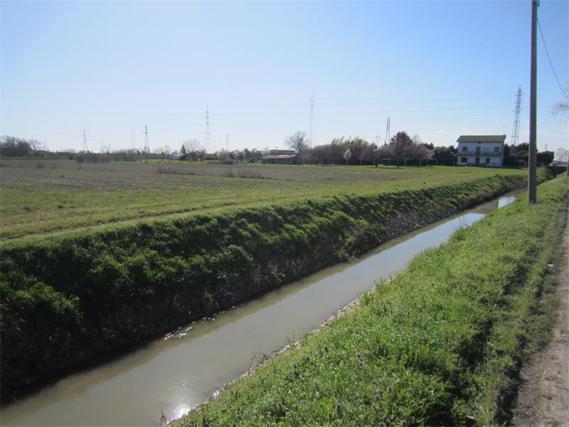 A.V 6-251

Vendesi all'asta terreno agricolo in data 20 febbraio 2026

Fondo agricolo situato in ...