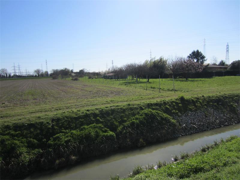 A.V 6-251

Vendesi all'asta terreno agricolo in data 20 febbraio 2026

Fondo agricolo situato in ...