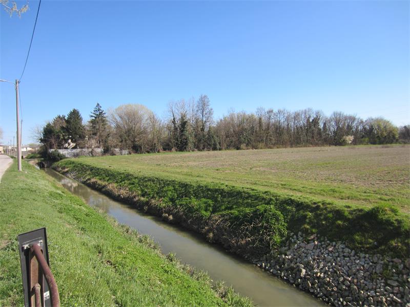 A.V 6-251

Vendesi all'asta terreno agricolo in data 20 febbraio 2026

Fondo agricolo situato in ...