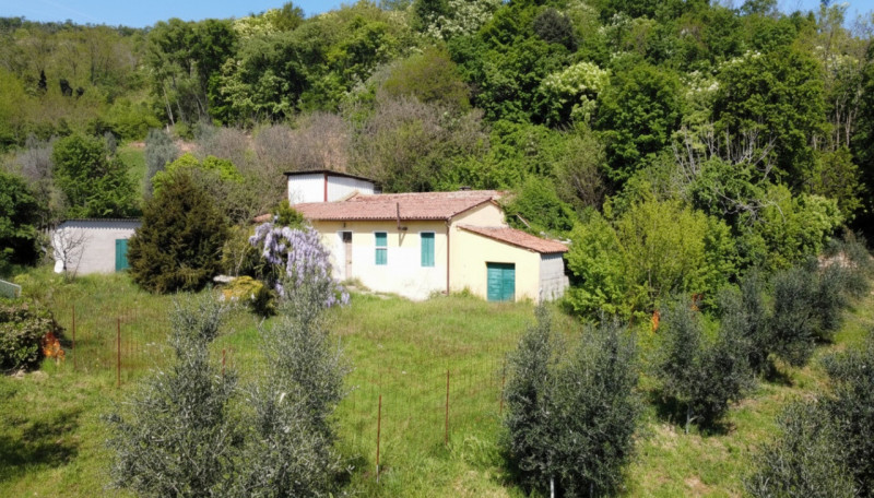 MONSELICE: in vendita, in esclusiva nella suggestiva zona di Solana, proponiamo casa singola indi...