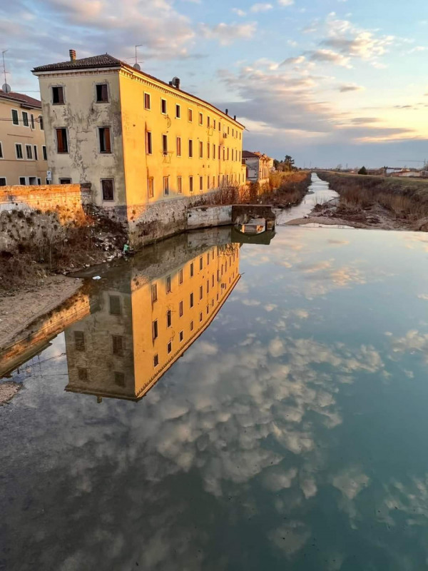 In vendita a Lonigo, in via Roma, un appartamento al piano terra  di 75 mq con ampio terrazzo est...