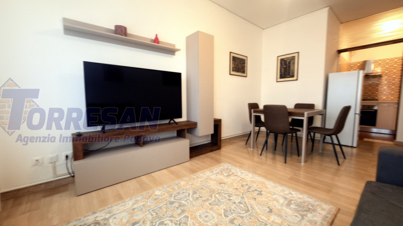 ARCELLA SAN CARLO:
Dietro la chiesa di San Carlo, comodissimo al supermercato Alice, di fronte al...