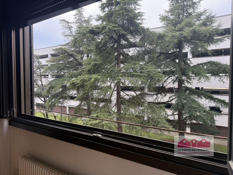 ZONA BANCHE: CURATO E LUMINOSO MINI APPARTAMENTO IN ZONA TRANQUILLA E BEN ABITATA, A RIDOSSO DELL...