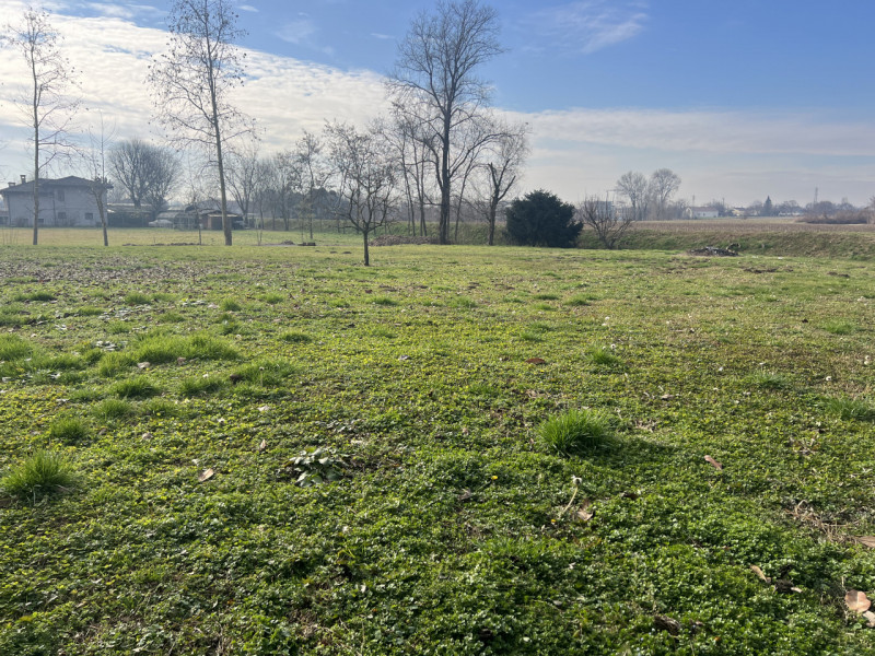 In località Sant’Andrea di Curtarolo, in un contesto rurale autentico e riservato, proponiamo in ...