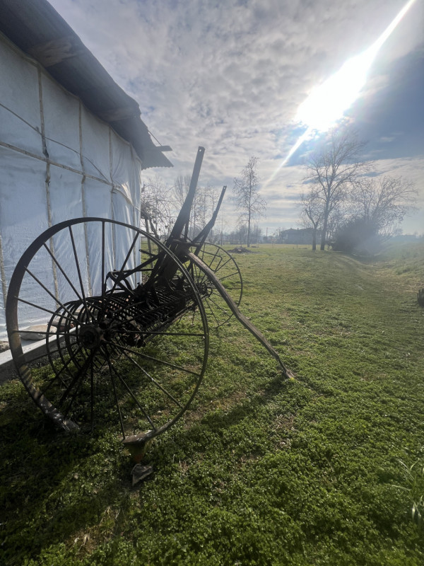 In località Sant’Andrea di Curtarolo, in un contesto rurale autentico e riservato, proponiamo in ...