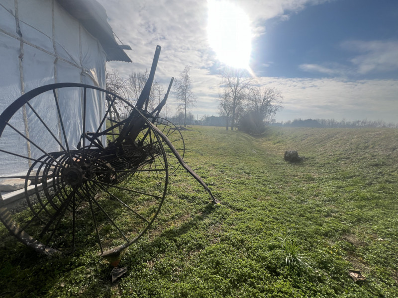 In località Sant’Andrea di Curtarolo, in un contesto rurale autentico e riservato, proponiamo in ...