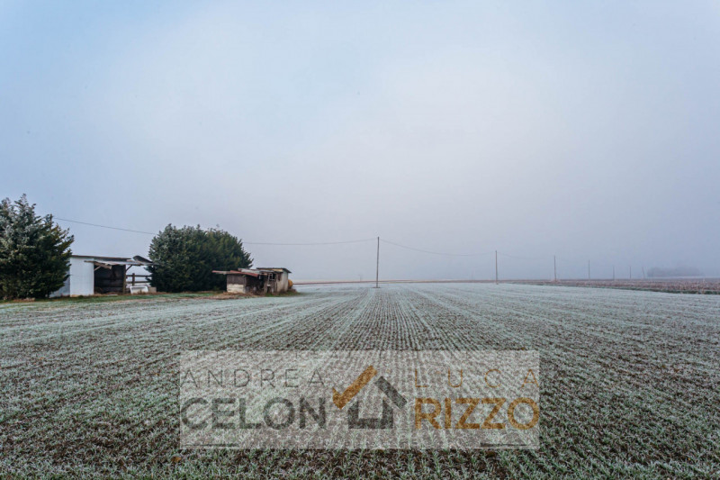 Proponiamo in vendita terreno agricolo situato ad Arre, in via Cristo, in una posizione comoda e ...