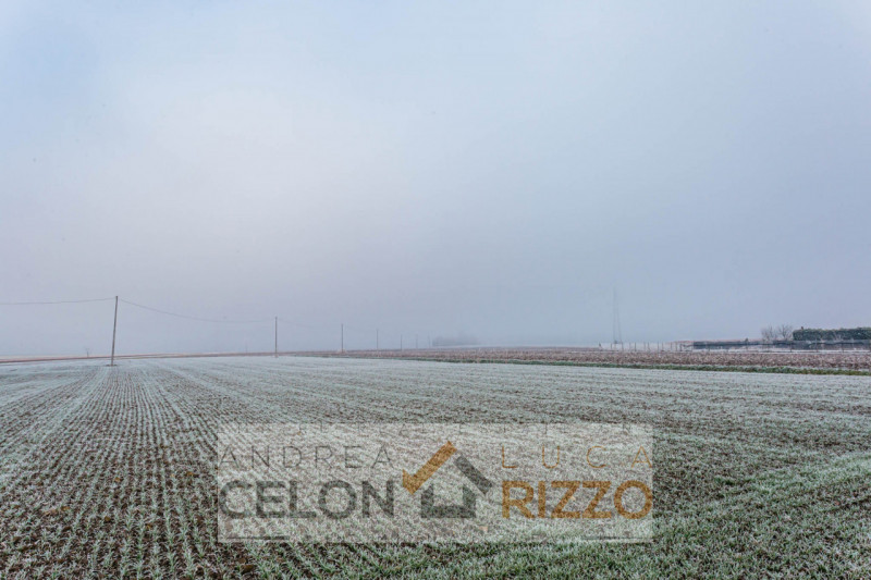 Proponiamo in vendita terreno agricolo situato ad Arre, in via Cristo, in una posizione comoda e ...