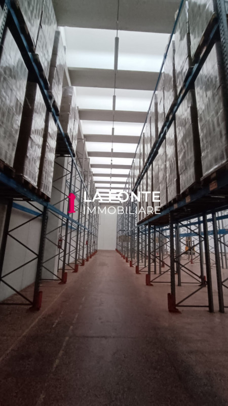 Camin, Padova Magazzino Logistico già Scaffalato con 1800 posti pallet alti e con grande portata,...