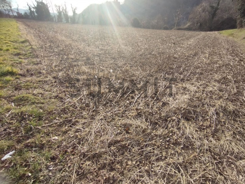 COGOLLO DEL CENGIO: Al confine con Piovene, TERRENO AGRICOLO di 1.650 mq completamente pianeggian...