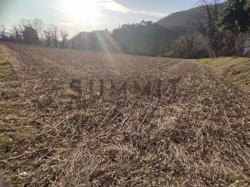 COGOLLO DEL CENGIO: Al confine con Piovene, TERRENO AGRICOLO di 1.650 mq completamente pianeggian...