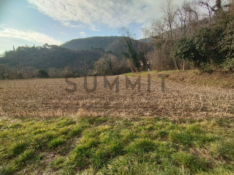 COGOLLO DEL CENGIO: Al confine con Piovene, TERRENO AGRICOLO di 1.650 mq completamente pianeggian...