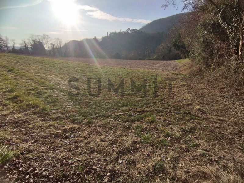 COGOLLO DEL CENGIO: Al confine con Piovene, TERRENO AGRICOLO di 1.650 mq completamente pianeggian...