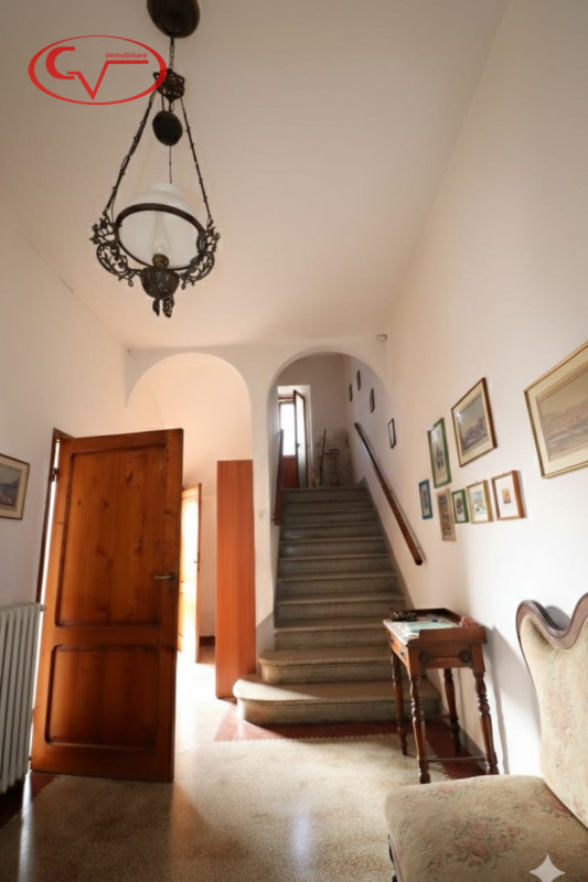 Immagine 6