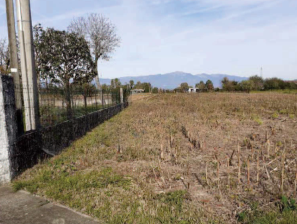 Rif. A.A.383-242

Vendita all'asta - terreno agricolo in data 26 febbraio 2026

Descrizione: trat...