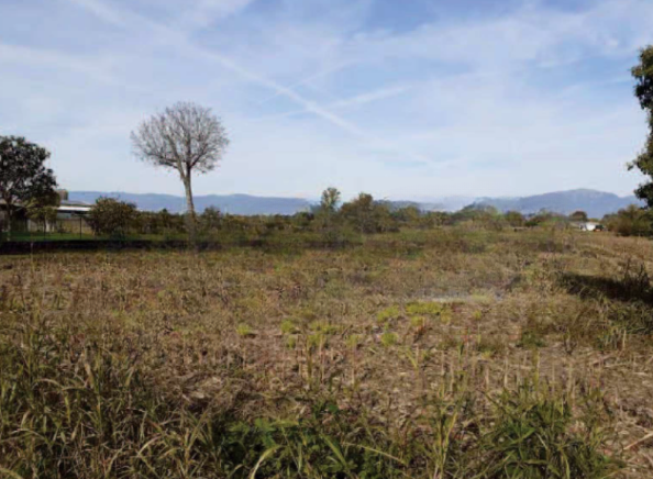 Rif. A.A.383-242

Vendita all'asta - terreno agricolo in data 26 febbraio 2026

Descrizione: trat...