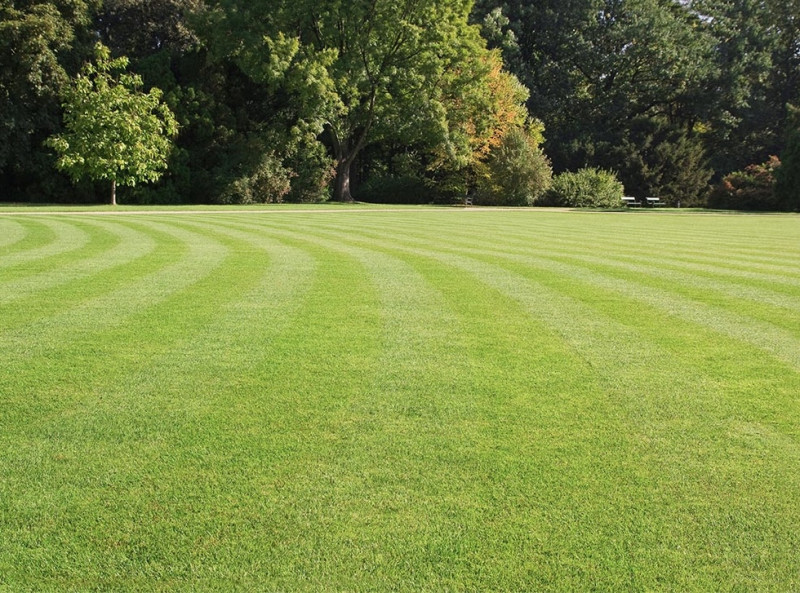 (Per INFO Fabrizio 333 7743912) A Montebelluna, nella tranquilla frazione di Sant'Andrea, in zona...