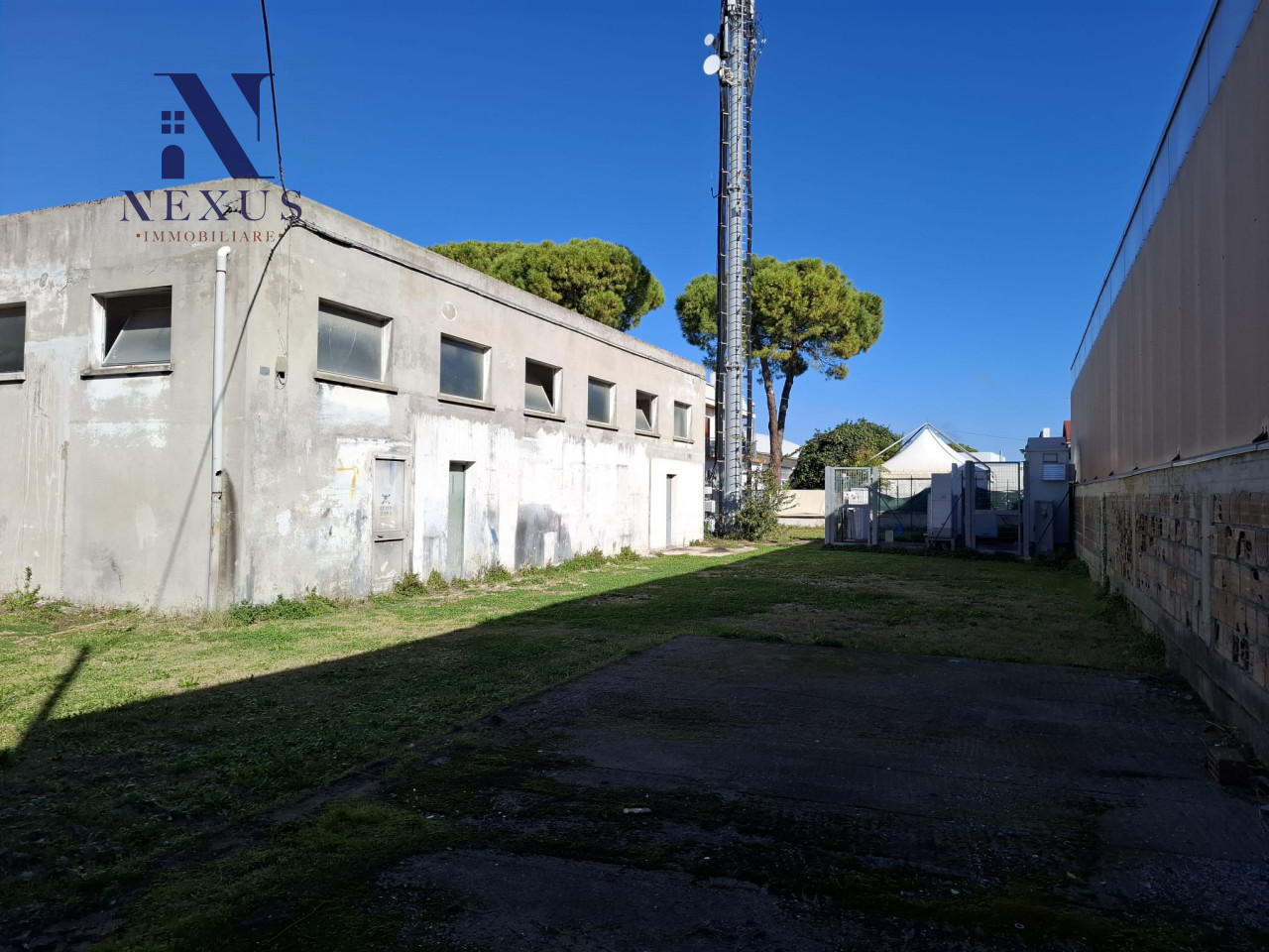 immagine annuncio 13 di 14