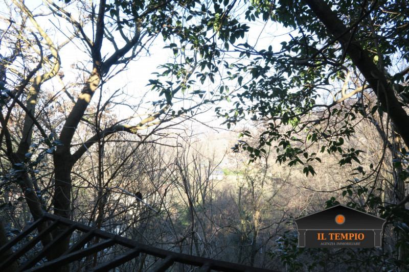 Rif. GE 312 – Casa singola con parco a bosco sui Colli di Brendola

Sui suggestivi Colli di Brend...