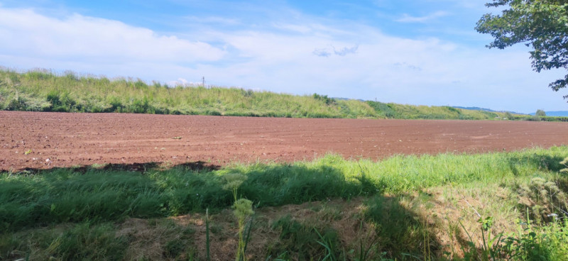 Scopri un'opportunità unica nel cuore della Valpolicella! Proponiamo in vendita, nella tranquilla...