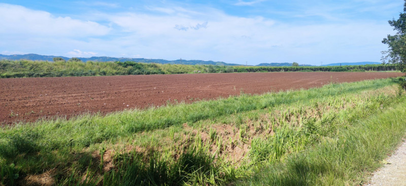 Scopri un'opportunità unica nel cuore della Valpolicella! Proponiamo in vendita, nella tranquilla...