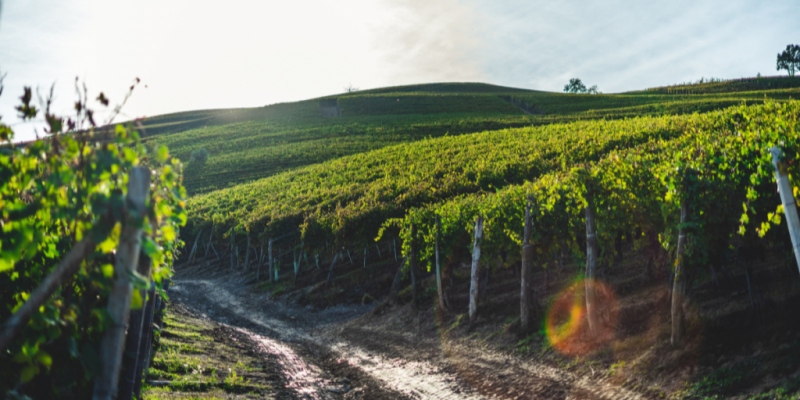 Scopri un'opportunità unica nel cuore della Valpolicella! Proponiamo in vendita, nella tranquilla...