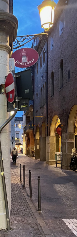 (Per INFO Cristina 3389226442) A Padova, in zona Santa Sofia, proponiamo in affitto un negozio ad...