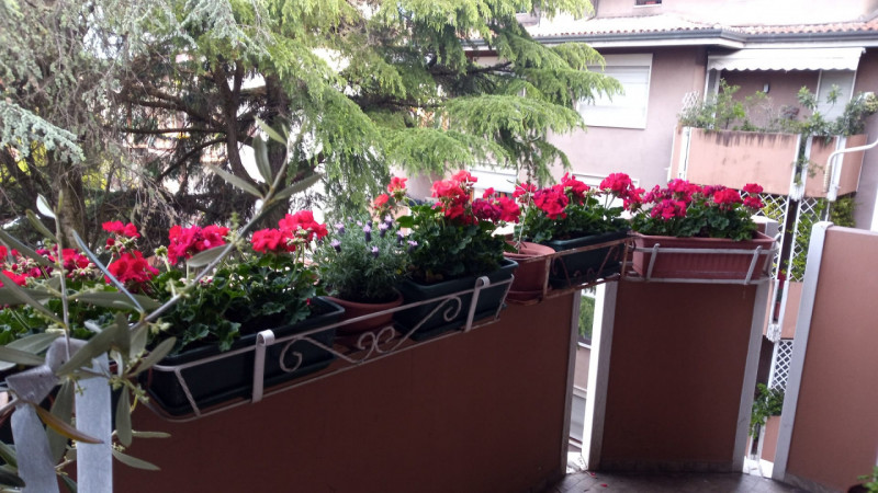 UBICAZIONE E CONTESTO

In uno dei quartieri più eleganti e signorili di Vicenza, come Sant’Andrea...