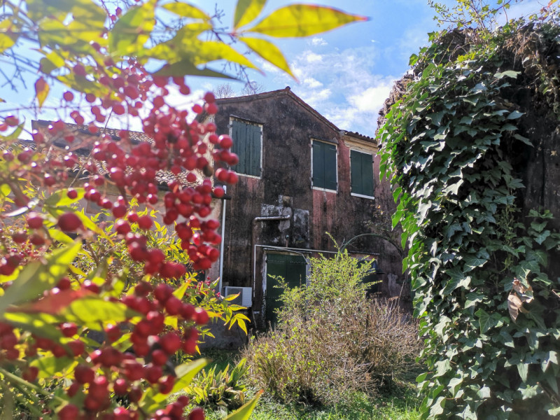 Splendida Villa Veneta dei primi 1700 con ampio parco nei pressi di Mira (VE). Composta da un cor...