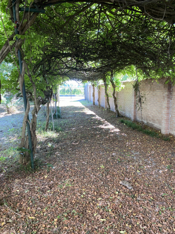 Splendida Villa Veneta dei primi 1700 con ampio parco nei pressi di Mira (VE). Composta da un cor...