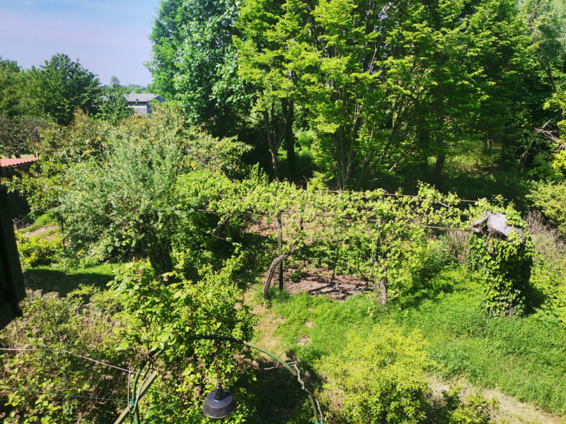 Splendida Villa Veneta dei primi 1700 con ampio parco nei pressi di Mira (VE). Composta da un cor...