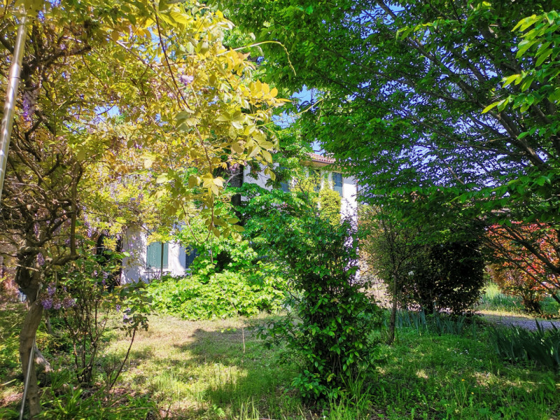 Splendida Villa Veneta dei primi 1700 con ampio parco nei pressi di Mira (VE). Composta da un cor...