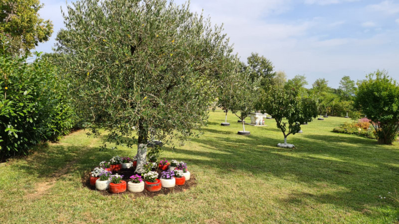 In esclusiva la vendita di un terreno edificabile residenziale unico nel suo genere, situato nell...